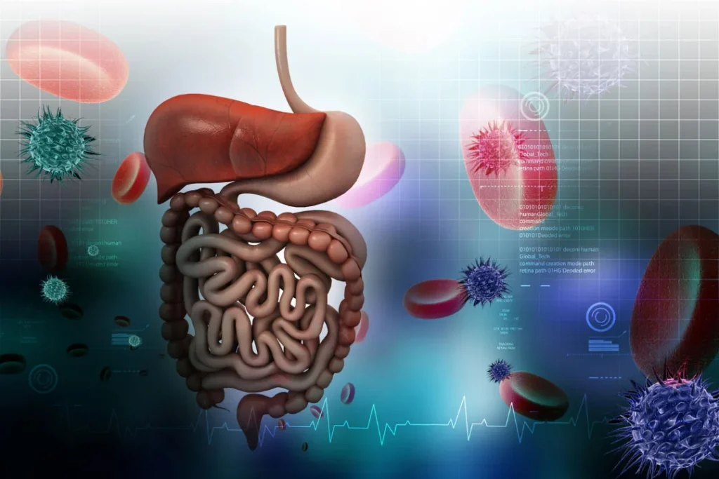 Parts of digestive system. 